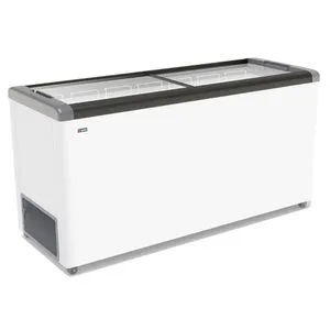 Ларь морозильный Frostor FG 600 C сер