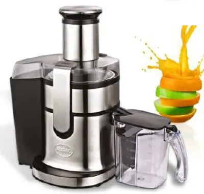 Соковыжималки Соковыжималка R.G.V. INDUSTRIAL JUICER MC4