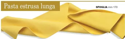 Рабочие органы и насадки Форма LA MONFERRINA для P3 SFOGLIA 170 MM бронза