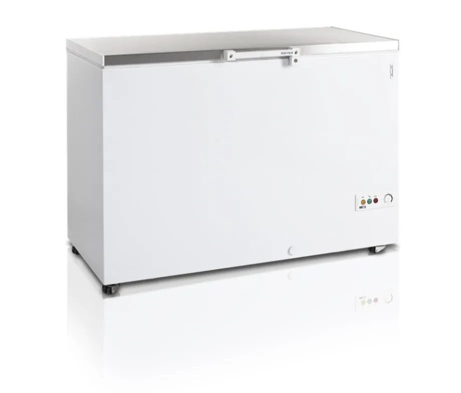 Ларь мороз. Tefcold FR405S SL крышка нерж.