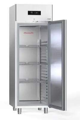 Шкафы морозильные Шкаф морозильный Sagi NE70B