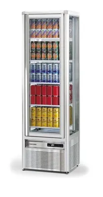 Шкафы морозильные Шкаф холод. со стеклом Tecfrigo SNELLE 281 G серебр.+замок