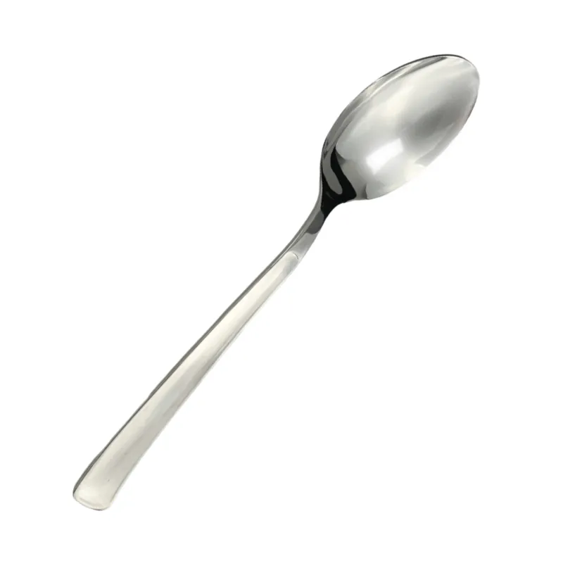 Ложка сервировочная Тема 18/10 2,5 мм 22,8 см. Pinti Pintinox