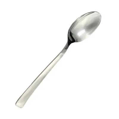 Ложка сервировочная Тема 18/10 2,5 мм 22,8 см. Pinti Pintinox