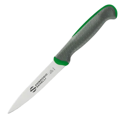 Инвентарь и инструмент Нож Sanelli Ambrogio серии Tecna, TT82011G, для овощей 110 мм, зеленый