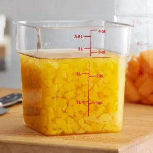 Контейнер 3 Cambro 4SFSCW-135