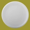 Тарелки, блюда, салатники, миски Longda Bone China Co., Ltd Тарелка СYCNO22311000 серия NOVO (31см)