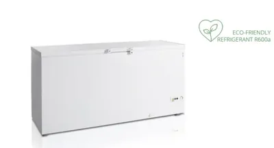 Лари морозильные ЛАРЬ МОРОЗ. TEFCOLD FR605 SL