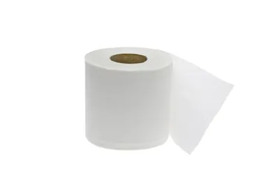 Расходные материалы (гигиена) CLEANEQ Туалетная бумага 2-ТБ100 (2 слоя, d=13,5 см, 100 м)