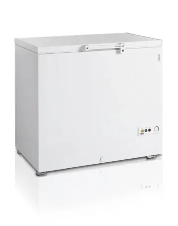 Лари морозильные Ларь мороз. Tefcold FR305 SL