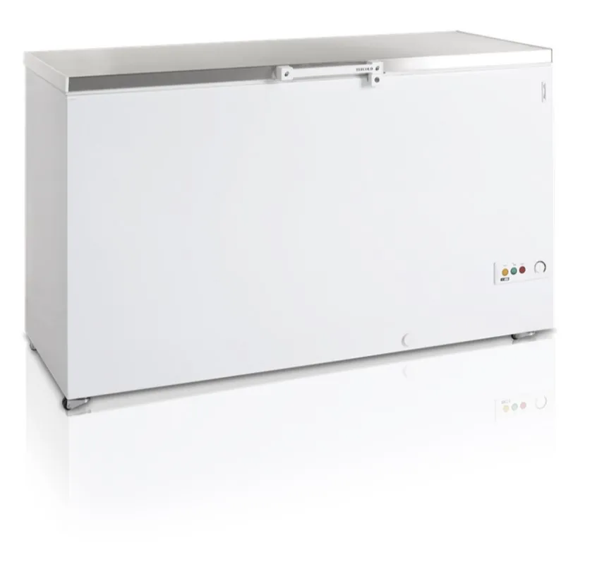 Ларь мороз. Tefcold FR505S SL крышка нерж.